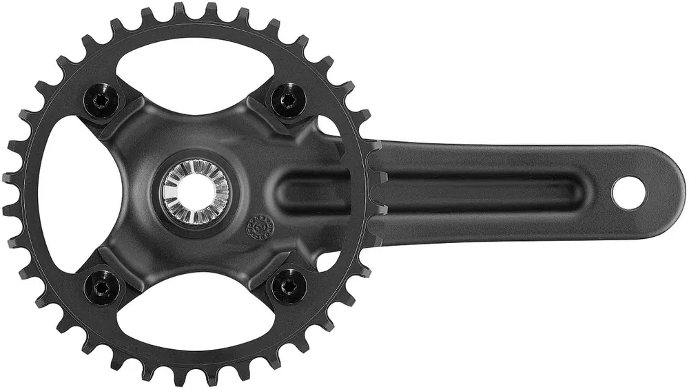 Campagnolo Kettenradgarnitur Ekar GT 13s 38 Zähne 170 mm schwarz Preisknaller