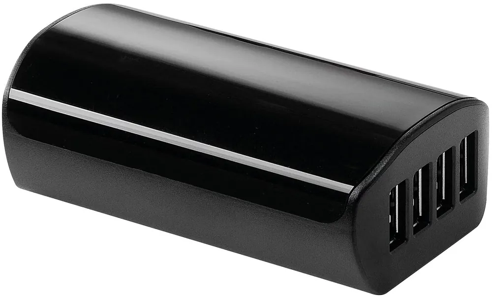 Campagnolo Ladegerät WRL 12s schwarz Bestseller