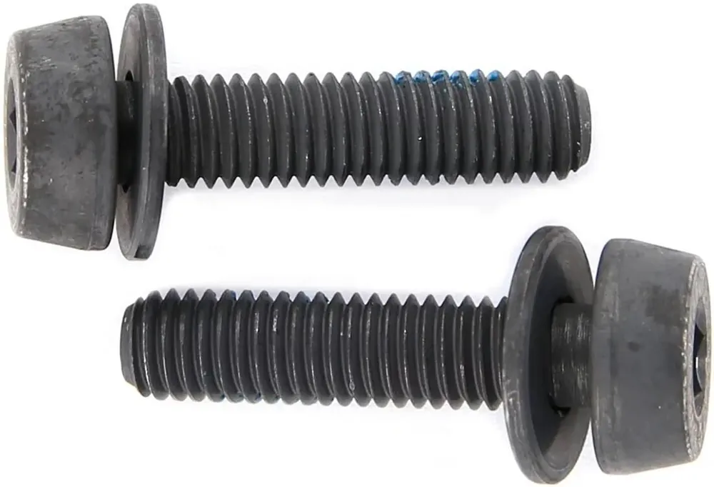 Aktuell Campagnolo Befestigungsschraube 19 mm schwarz