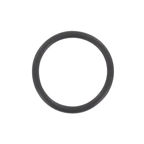 O-Ring Zylinderkopf 21x2mm Dichtung AWA-1.20.01.10.20000 Preis Gesenkt