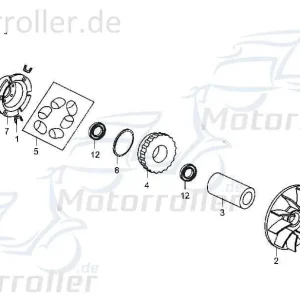 Eppella Strassenbuggy 250 I+II Schraube 250ccm 4Takt GB/T818 M4x10mm Bundschraube Maschinenschraube Flanschschraube Flansch-Schraube Markenprodukt