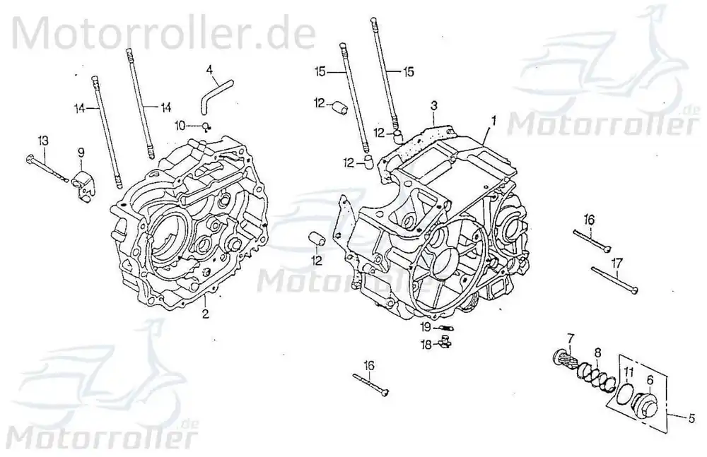 SMC Bundschraube M6x55mm Quad 250 ATV Quad 170 250ccm 4Takt Maschinenschraube Flanschschraube Flansch-Schraube Maschinen-Schraube UTV Preisknaller