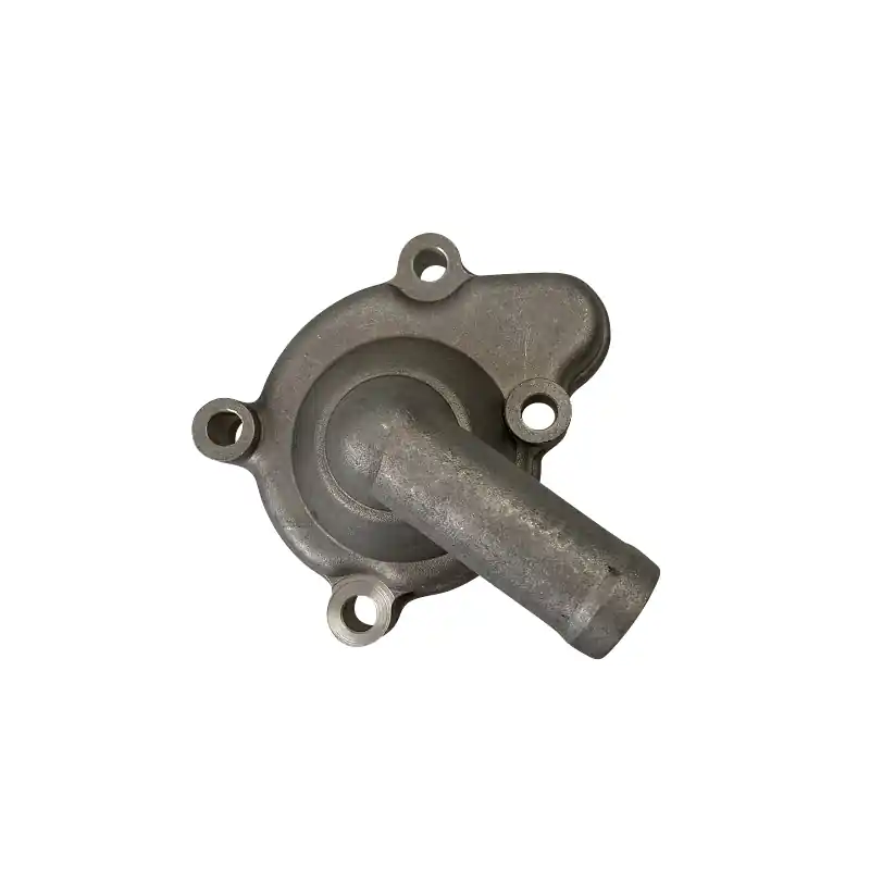 Gehäuse Kühlwasserpumpe Kasea BUGGY 250 Umbauung 172MM-100 Hülle 250ccm-4Takt Straßenbuggy 250 Ersatzteil Service Inpektion Finale Aktion