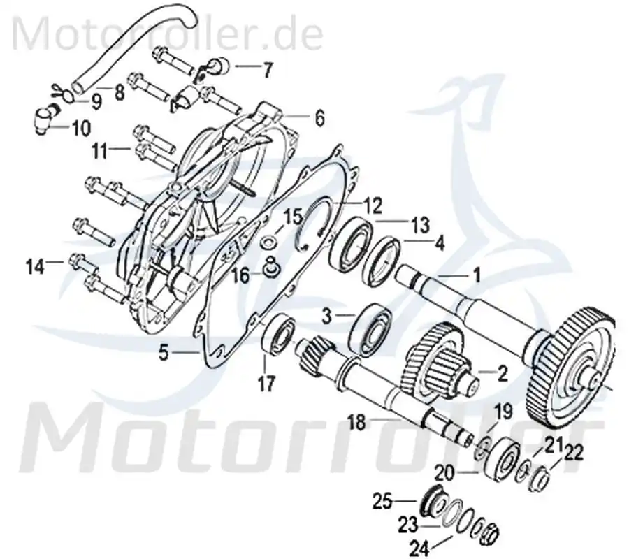 Kreidler Insignio 250 DD 2.0 Entlüftungsschlauch Getriebe 750598 Luftschlauch Entlüftungs-Schlauch 250ccm 4Takt Scooter Günstig