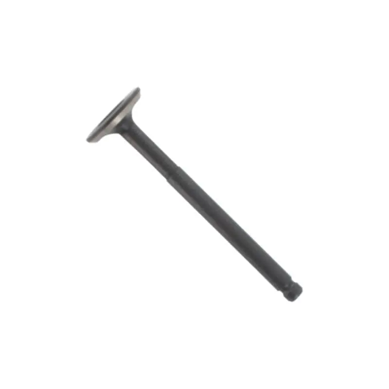 Neue Ware Motor-Ventil 31120403-1 Auslassventil 2Takt