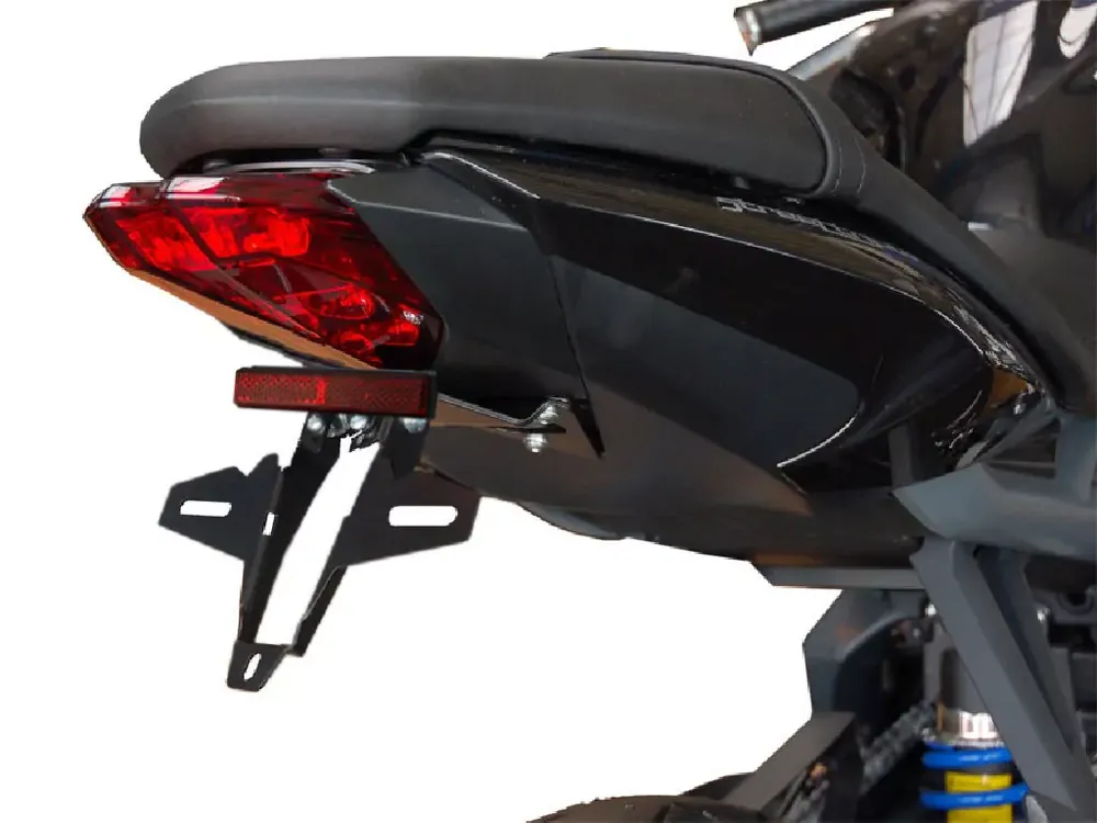 Bestpreis Kennzeichenhalter IQ4 passend für Triumph Daytona 675 Daytona R (2013-2016)