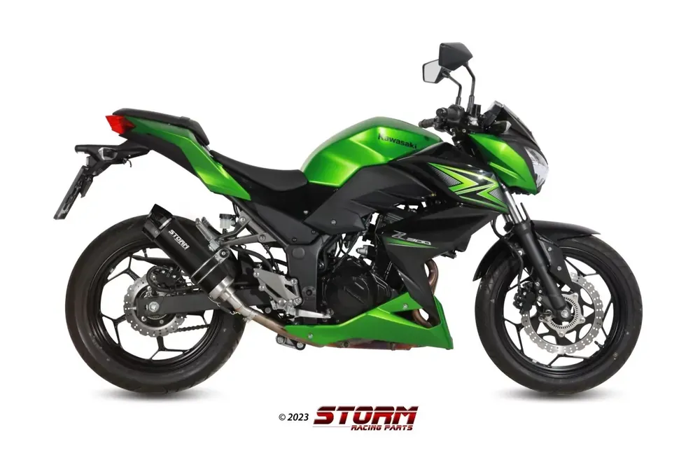 Schneller Versand STORM by MIVV GP-C Endschalldämpfer passend für Kawasaki Ninja 300 13-16