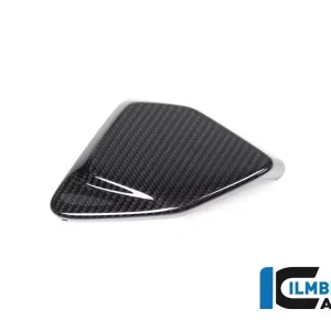 Abdeckung ESA Box Carbon passend für BMW R 1250 GS ab 2019 Neu