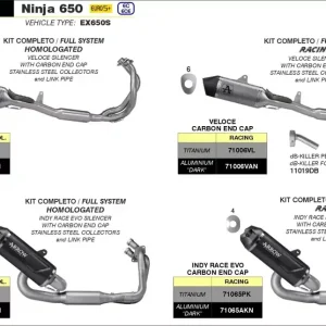Top-Preis ARROW Indy-Race Titan Komplettanlage passend für Kawasaki Ninja 650 und Z 650