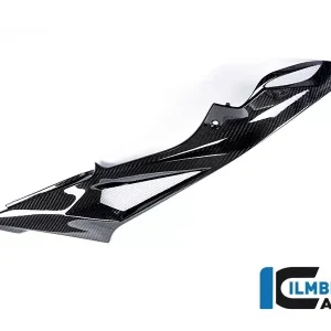 Beliebt Ilmberger Carbon Seitendeckel rechts am Tank Carbon passend für BMW S1000R / S1000RR