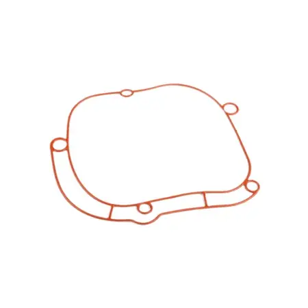 Expressversand O-Ring Getriebedeckel Piaggio Zip Stage6 R/T MK2