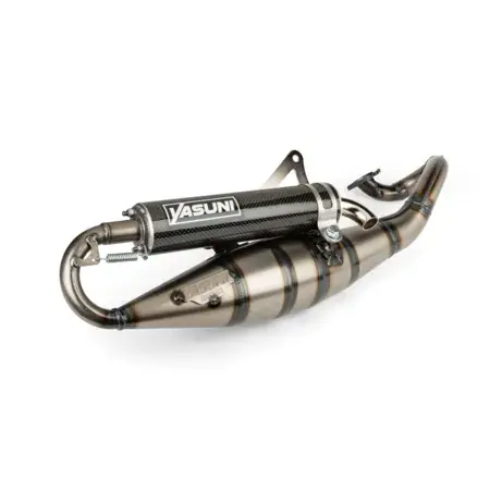 Auspuff Yasuni R Carbon Minarelli liegend Sichere Zahlung