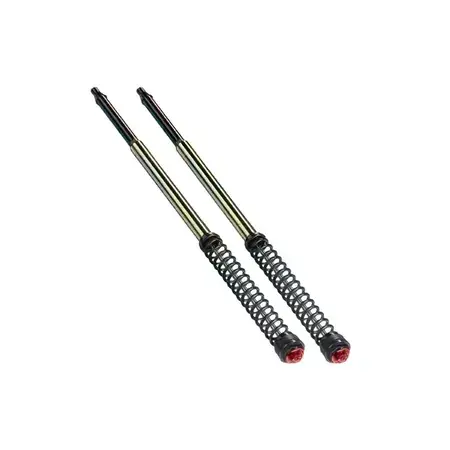 Markenware Gabelkartuschen-Kit Bitubo ABB09 Yamaha T-Max 530cc