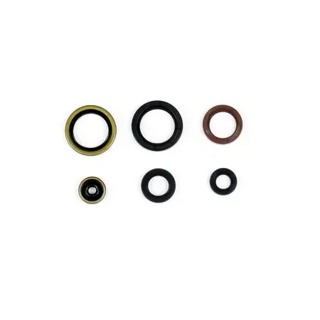 Bestseller Satz Dichtringe Motor SX 125